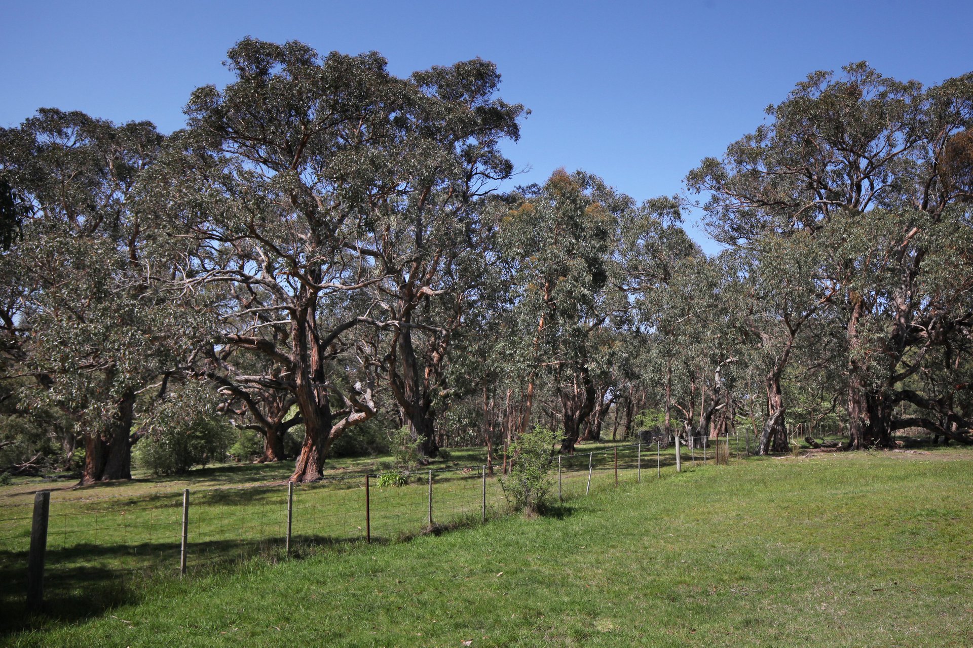 Property Gallery Thumbnail 23