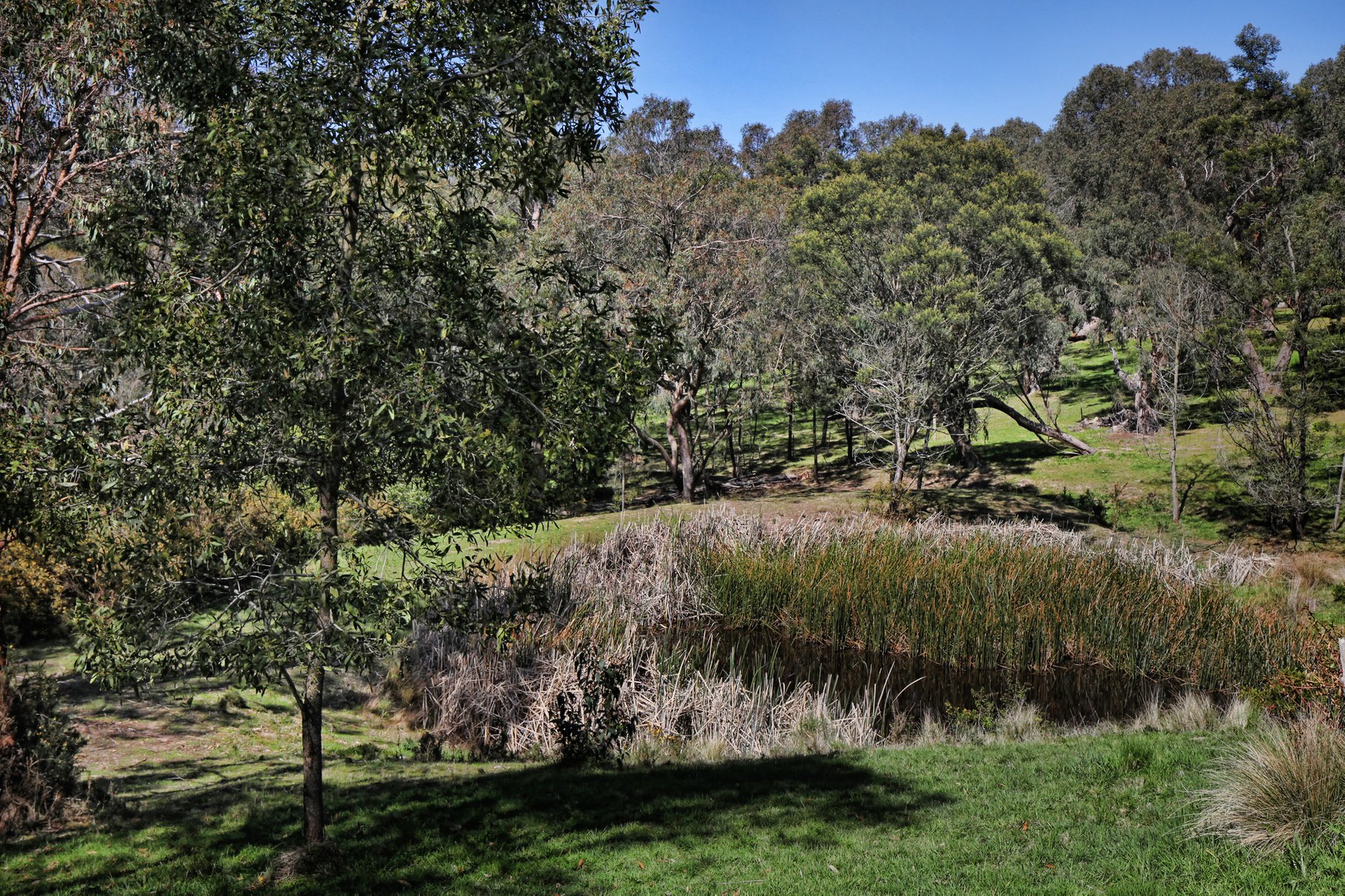 Property Gallery Thumbnail 24