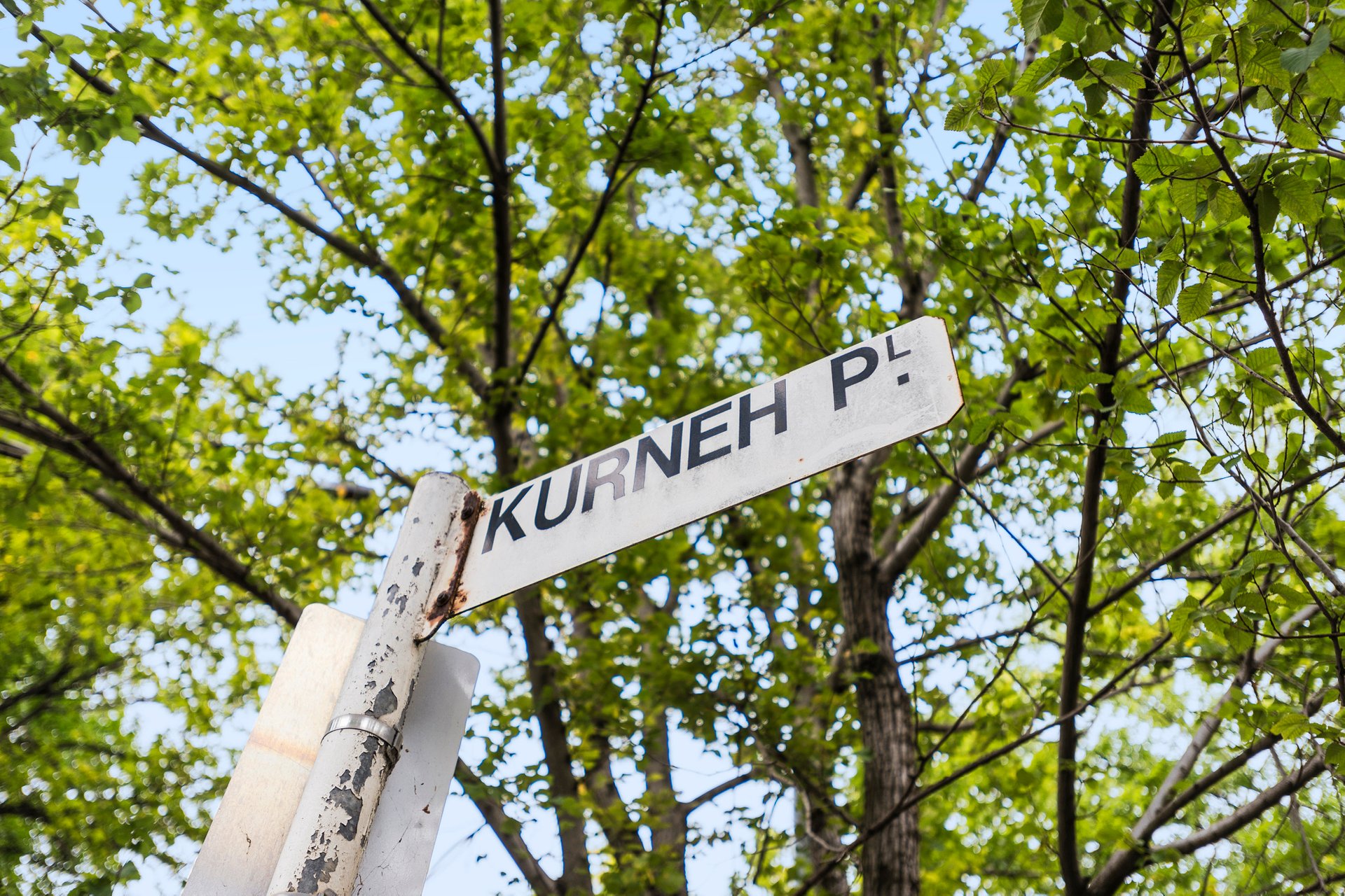 25 - 29 Kurneh Place, South Yarra image 3