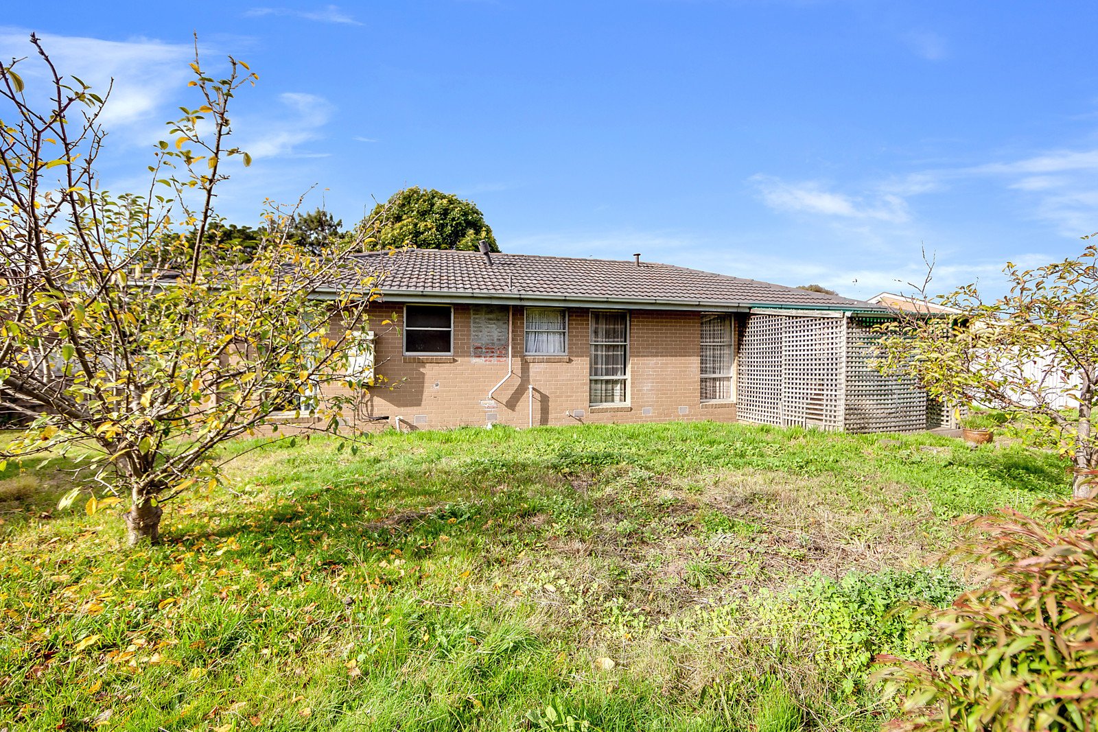 25 Ardent Court, Hastings image 6