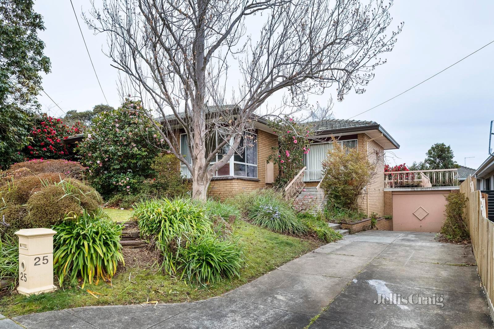 25 Astley Street, Templestowe Lower image 2