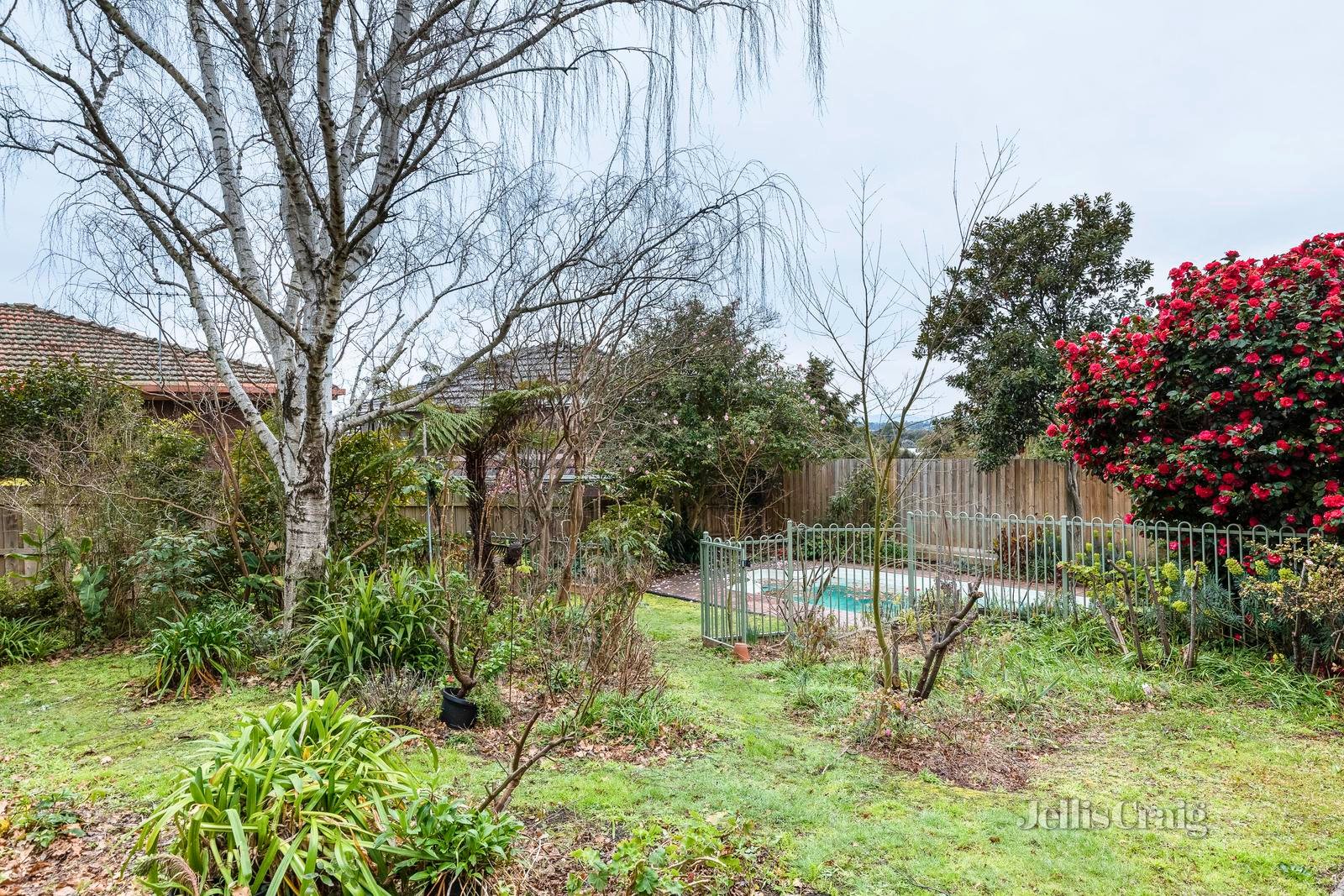 25 Astley Street, Templestowe Lower image 14