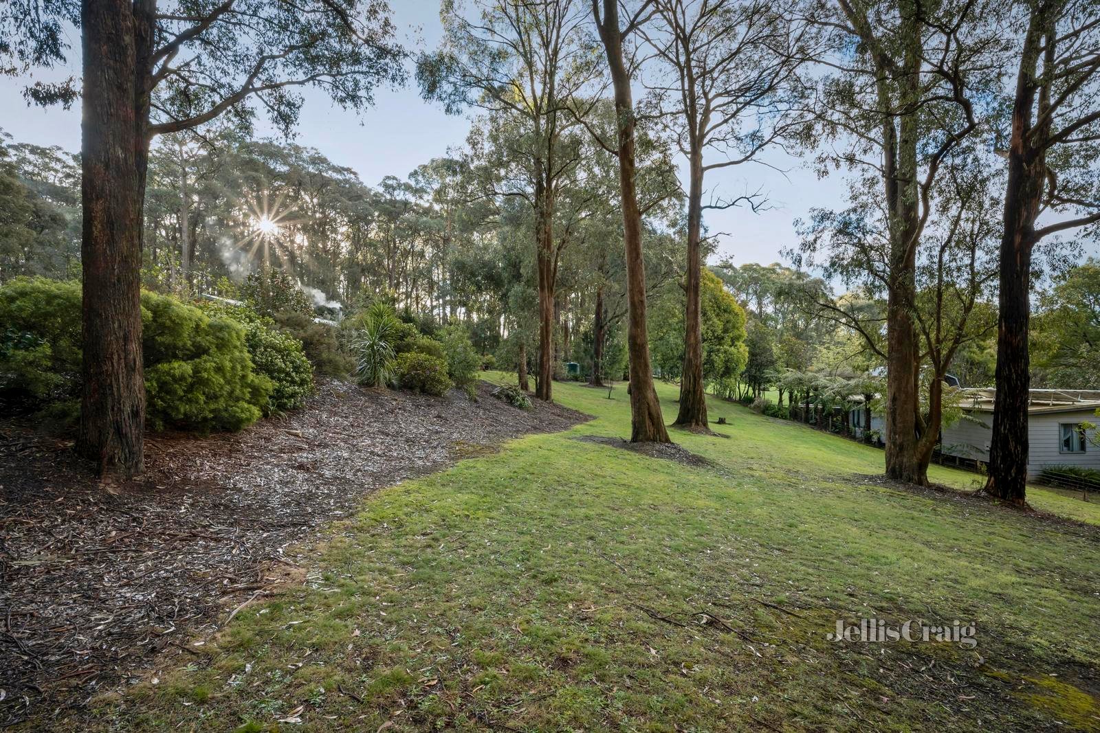 25 Cherrys Lane, Toolangi image 15