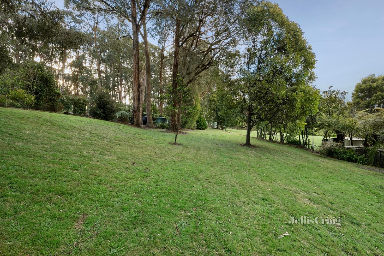 25 Cherrys Lane, Toolangi image 16