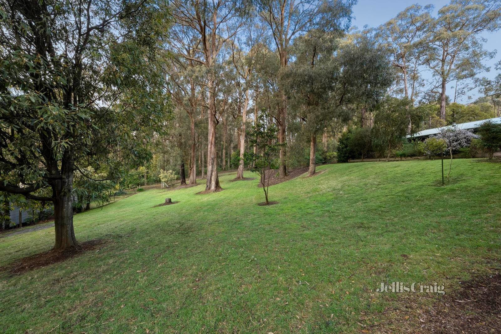 25 Cherrys Lane, Toolangi image 17