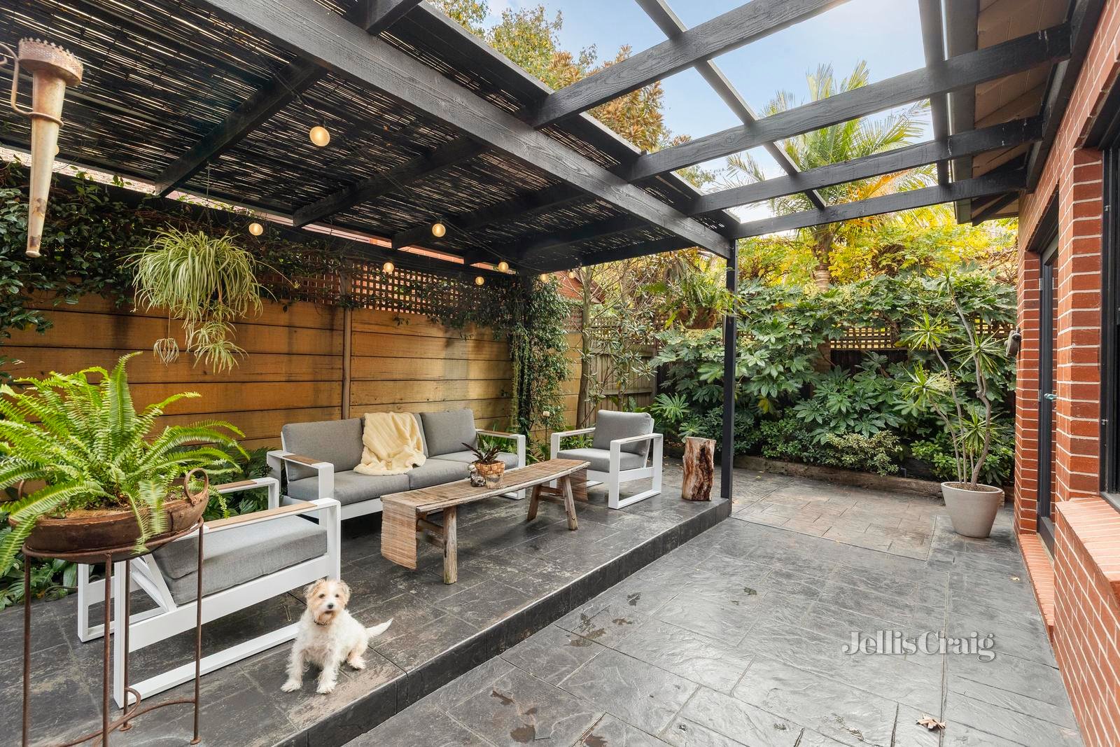 25 Darling Road, Malvern East image 12