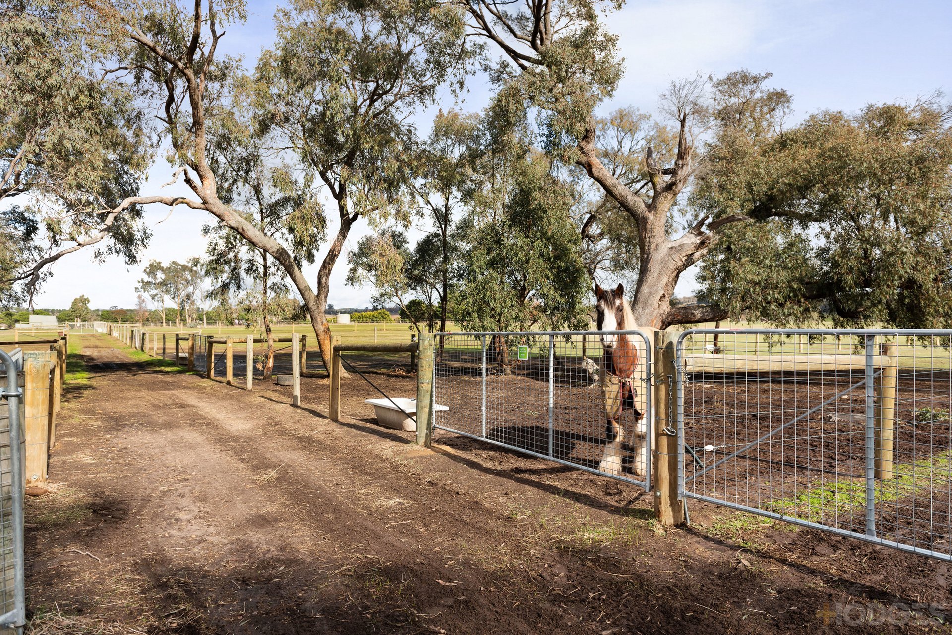 25 Diggings Road Willowmavin