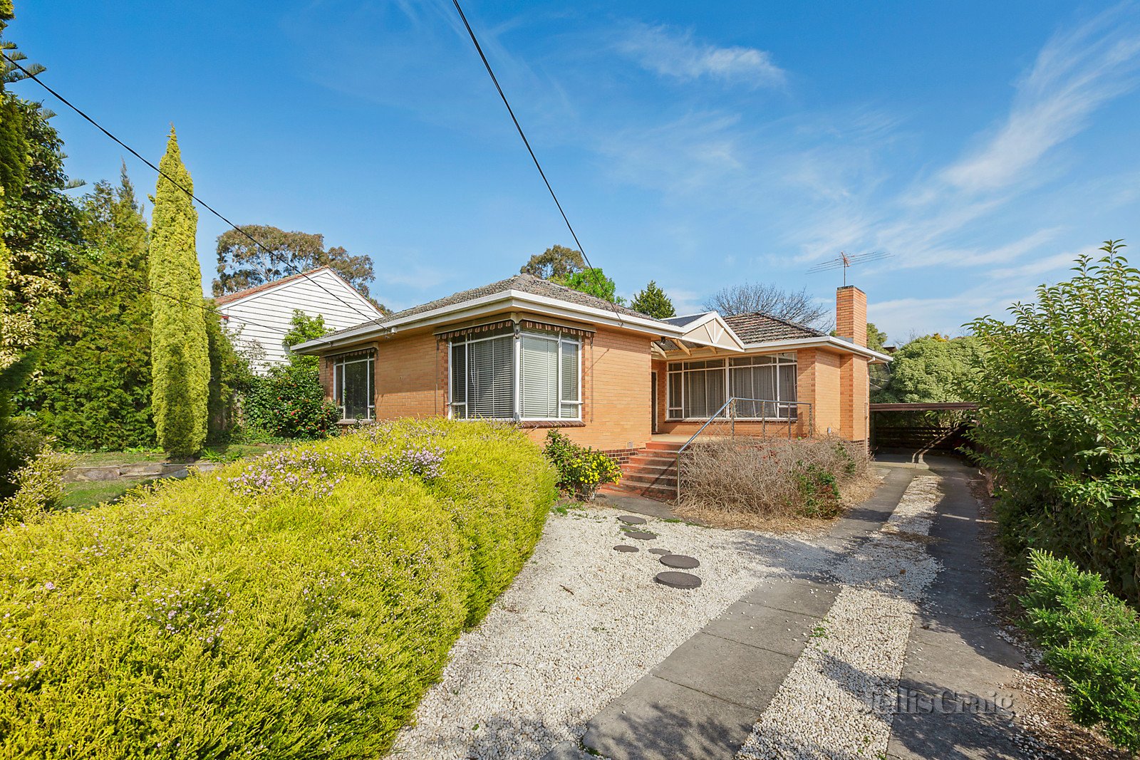 25 Greenwood Street, Burwood image 2