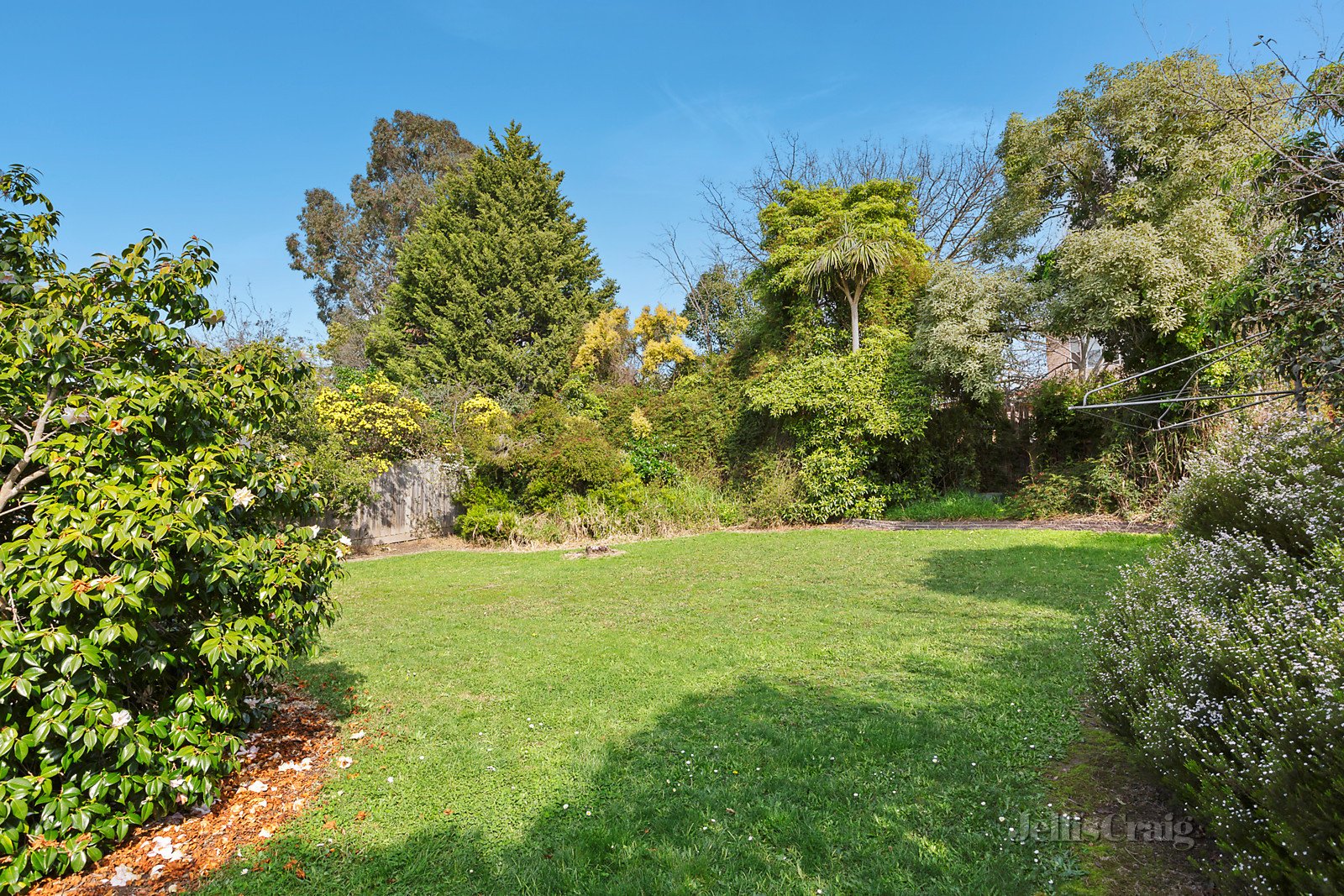 25 Greenwood Street, Burwood image 6