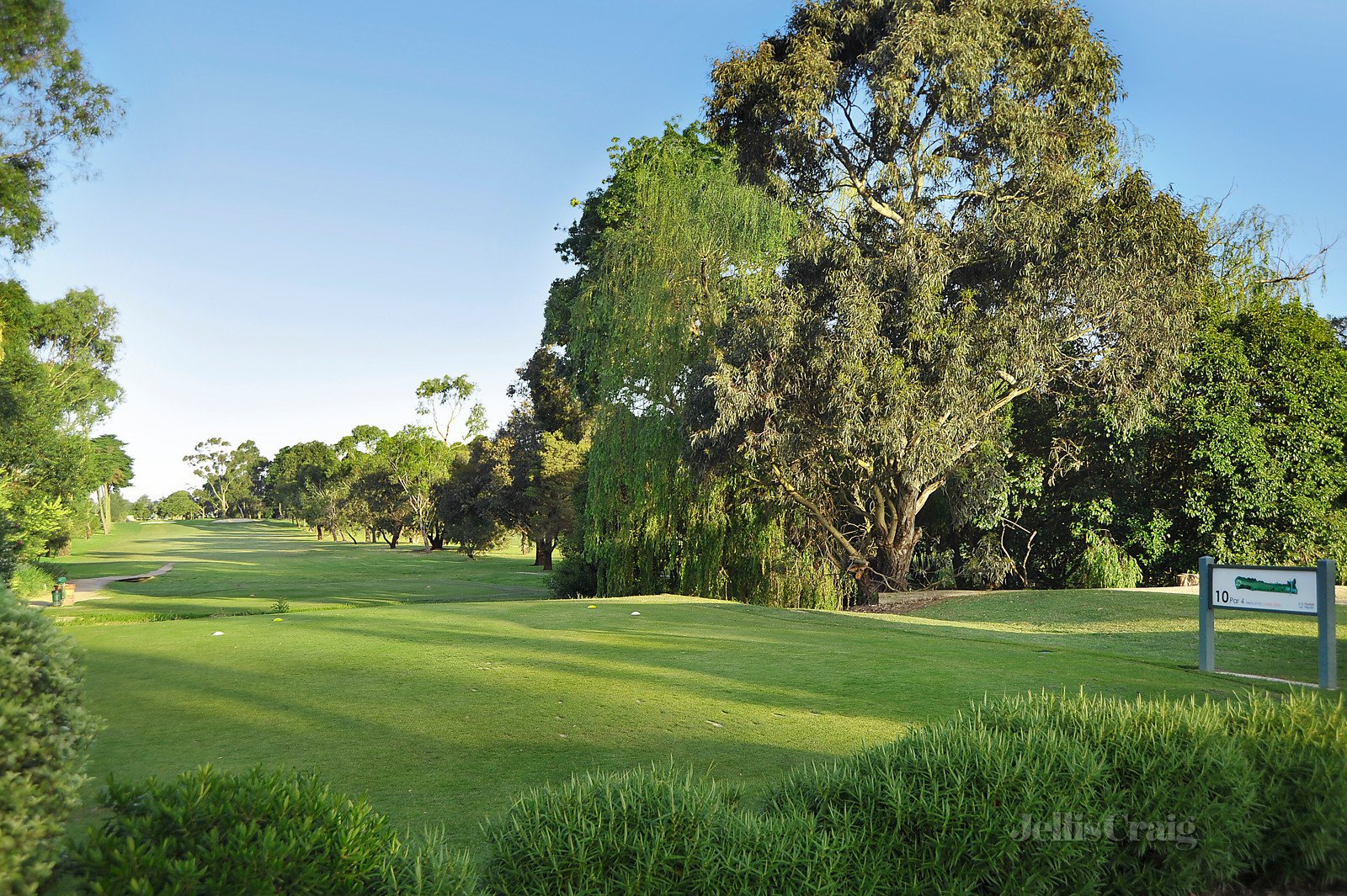 25 Greenwood Street, Burwood image 9