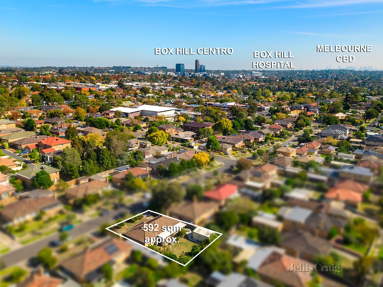 25 Mall Court, Blackburn North image 6