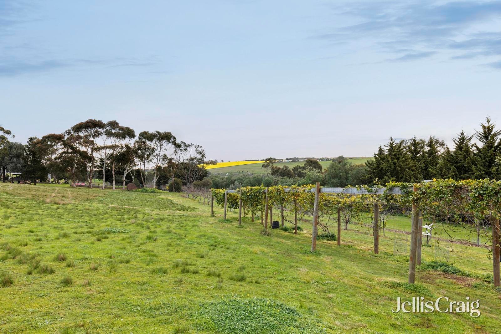 25 Marendaz Road, Waurn&nbsp;Ponds image 15