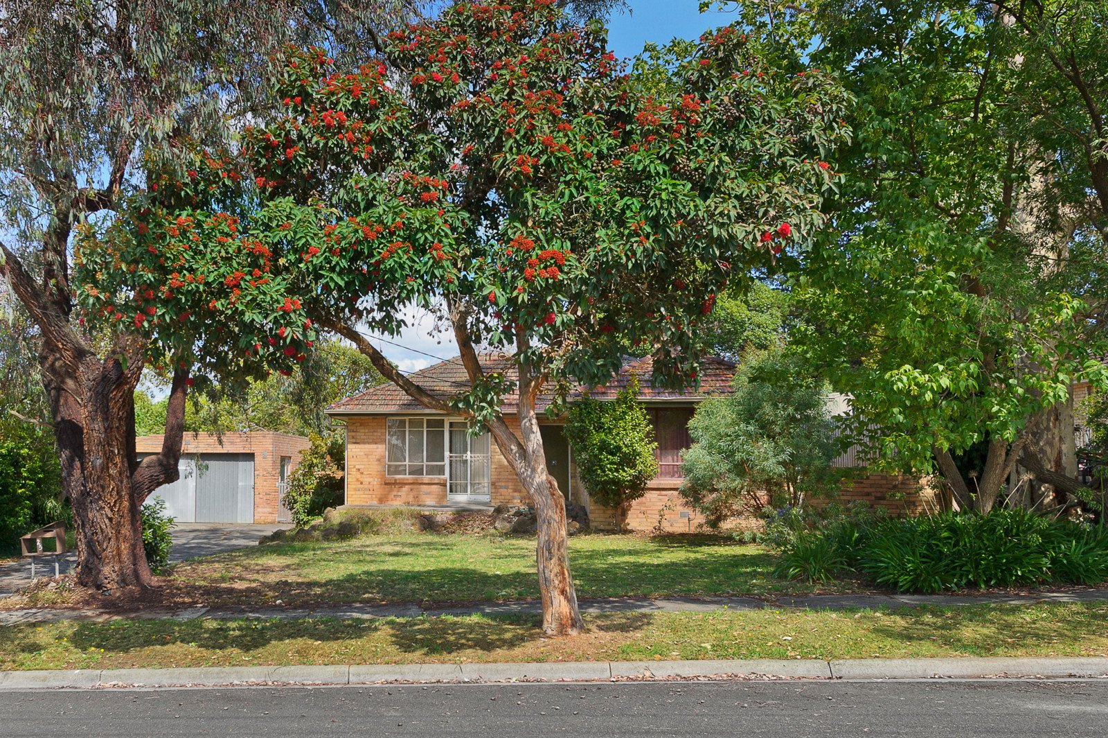 25 Norma Crescent South, Knoxfield image 4