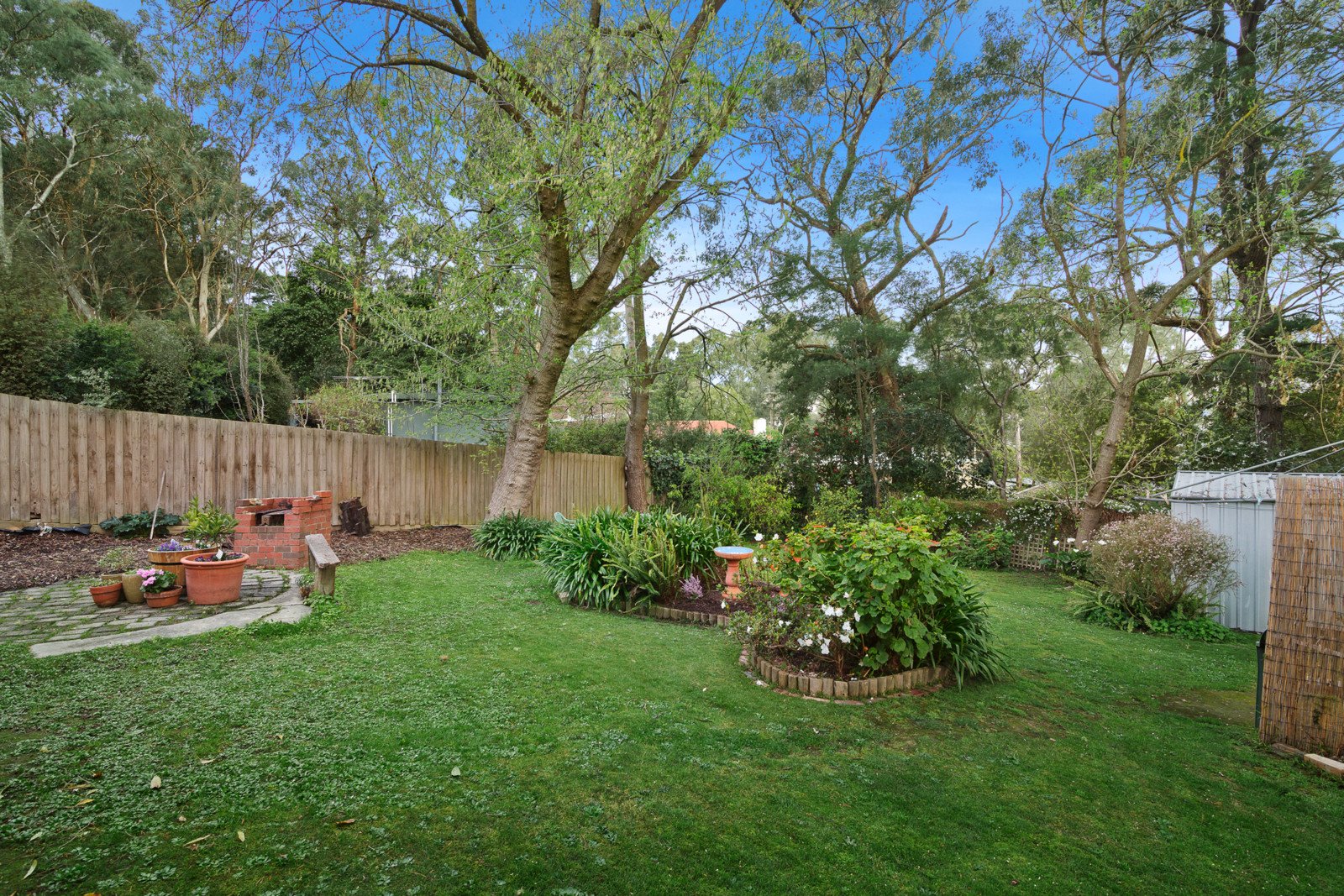 25 Pine Crescent, Ringwood North image 8