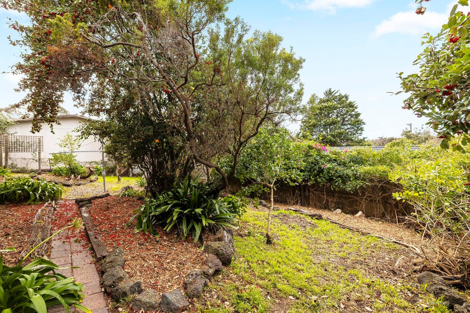 25 Timmins Crescent, Rye image 12