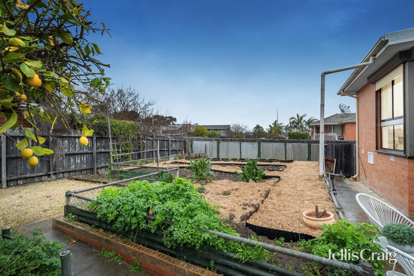 25 Venice Avenue, Mitcham image 12