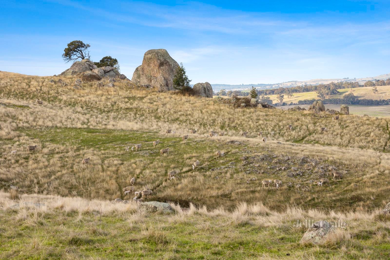 250 Fordes Lane, Kyneton image 8