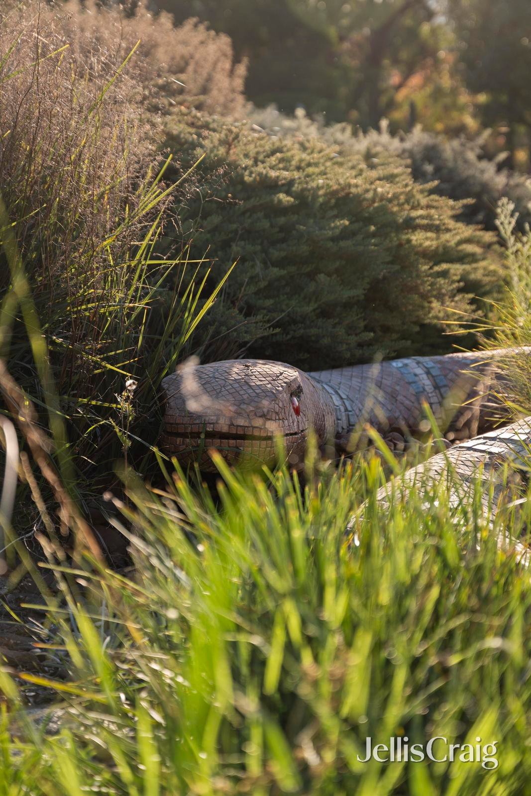 250 Mt Riddell Road, Healesville image 20