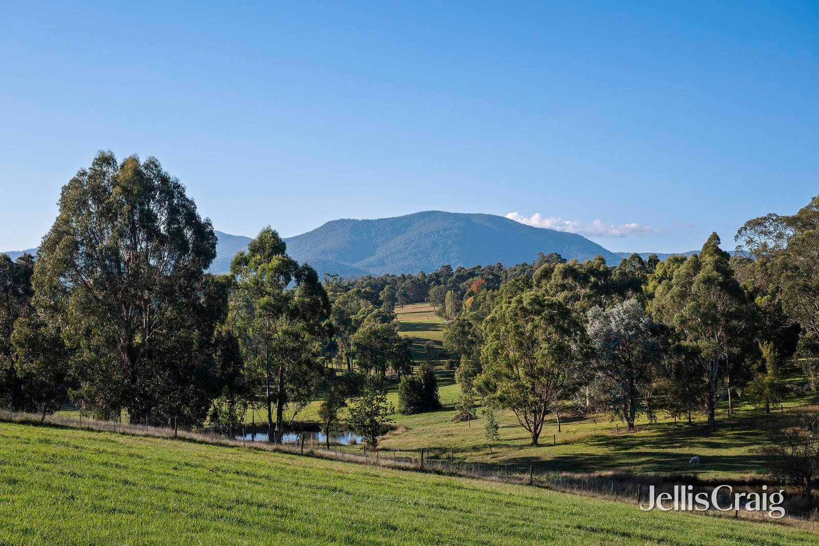 250 Mt Riddell Road, Healesville image 27