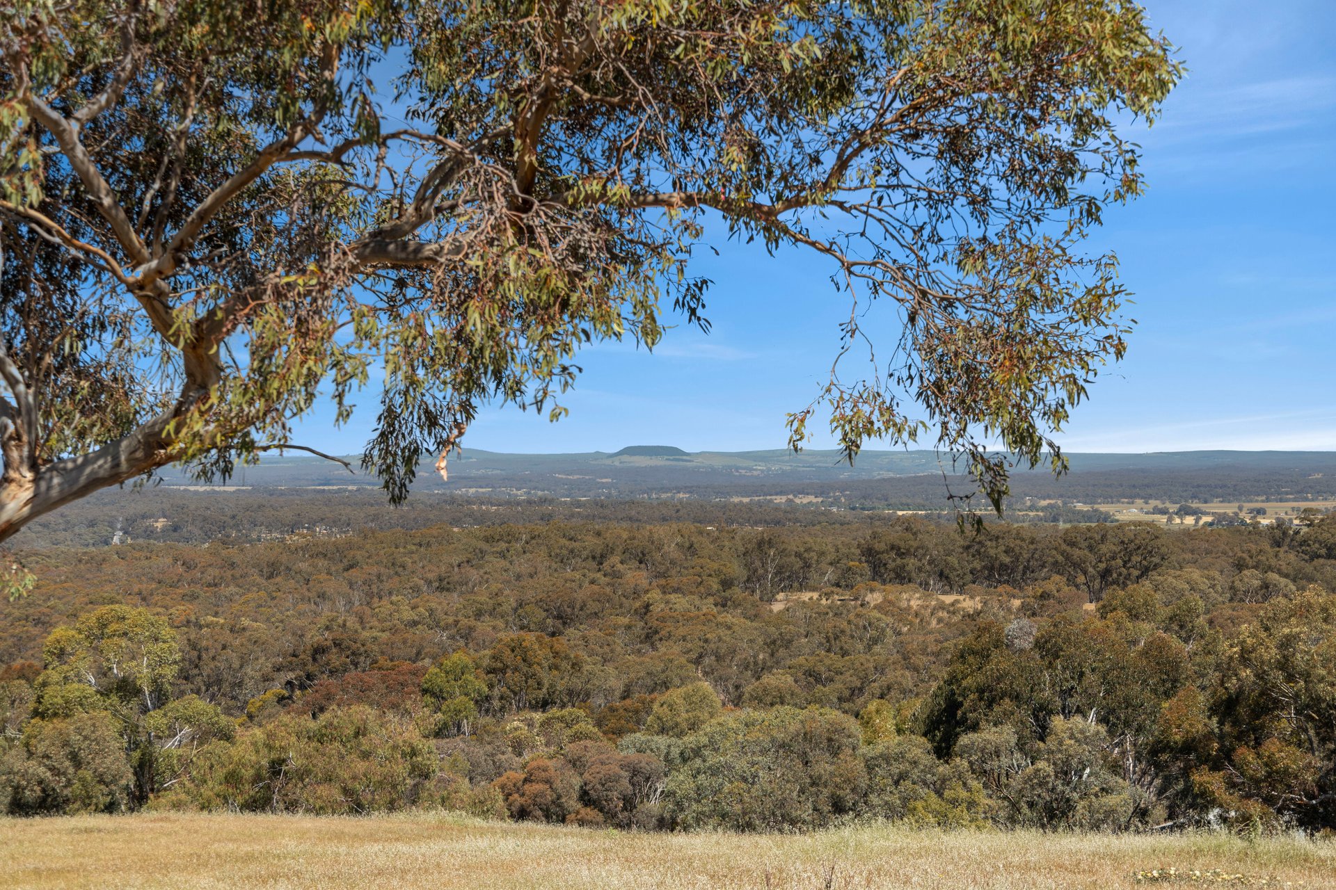 252 Seers Road, Welshmans&nbsp;Reef image 8