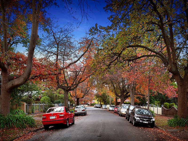 2/52 Windsor Crescent, Surrey Hills image 9
