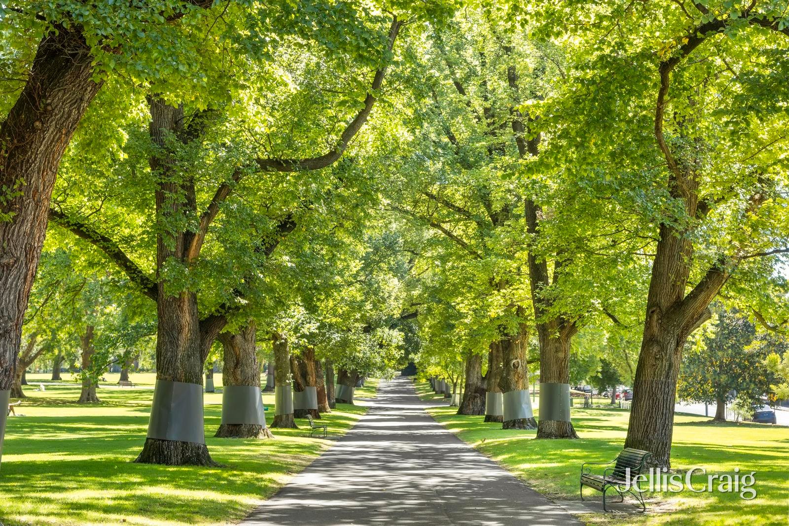 25/3-25 Hanover Street, Fitzroy image 9
