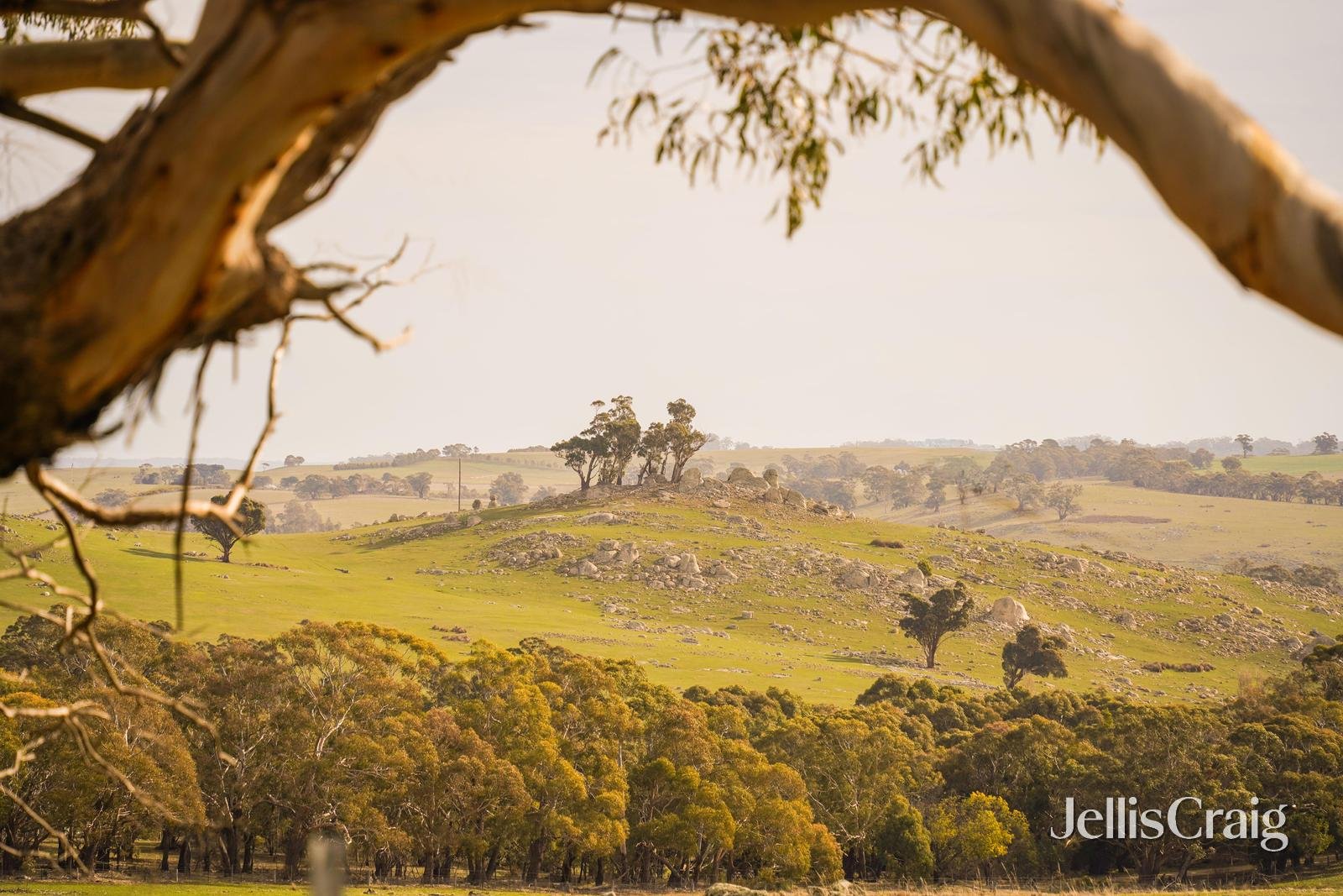 254 Prendergasts Lane, Kyneton image 6