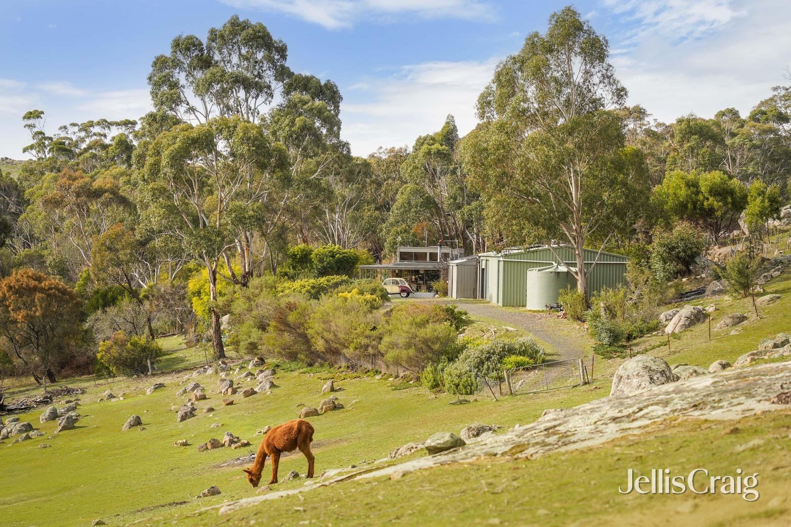 254 Prendergasts Lane, Kyneton image 13