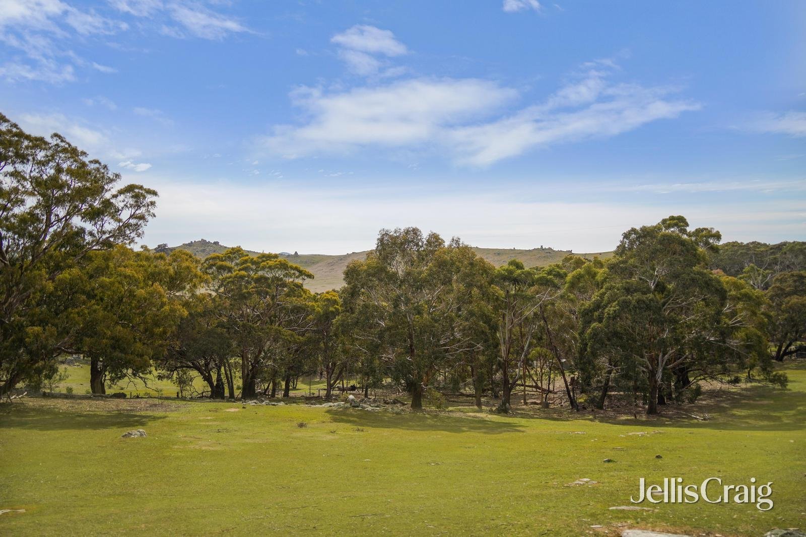 254 Prendergasts Lane, Kyneton image 15