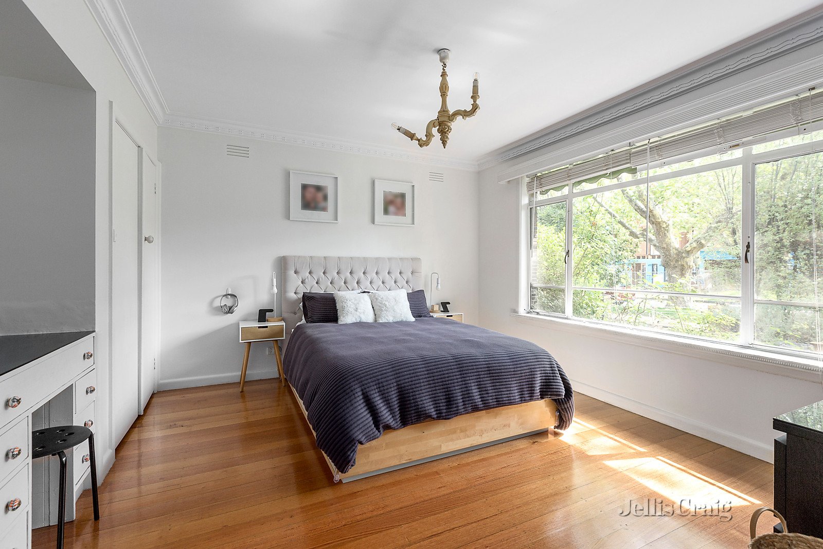 254 Waverley Road, Malvern East image 3