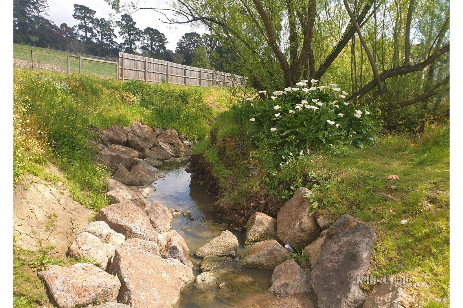 255 Warrandyte Road, Park Orchards image 7