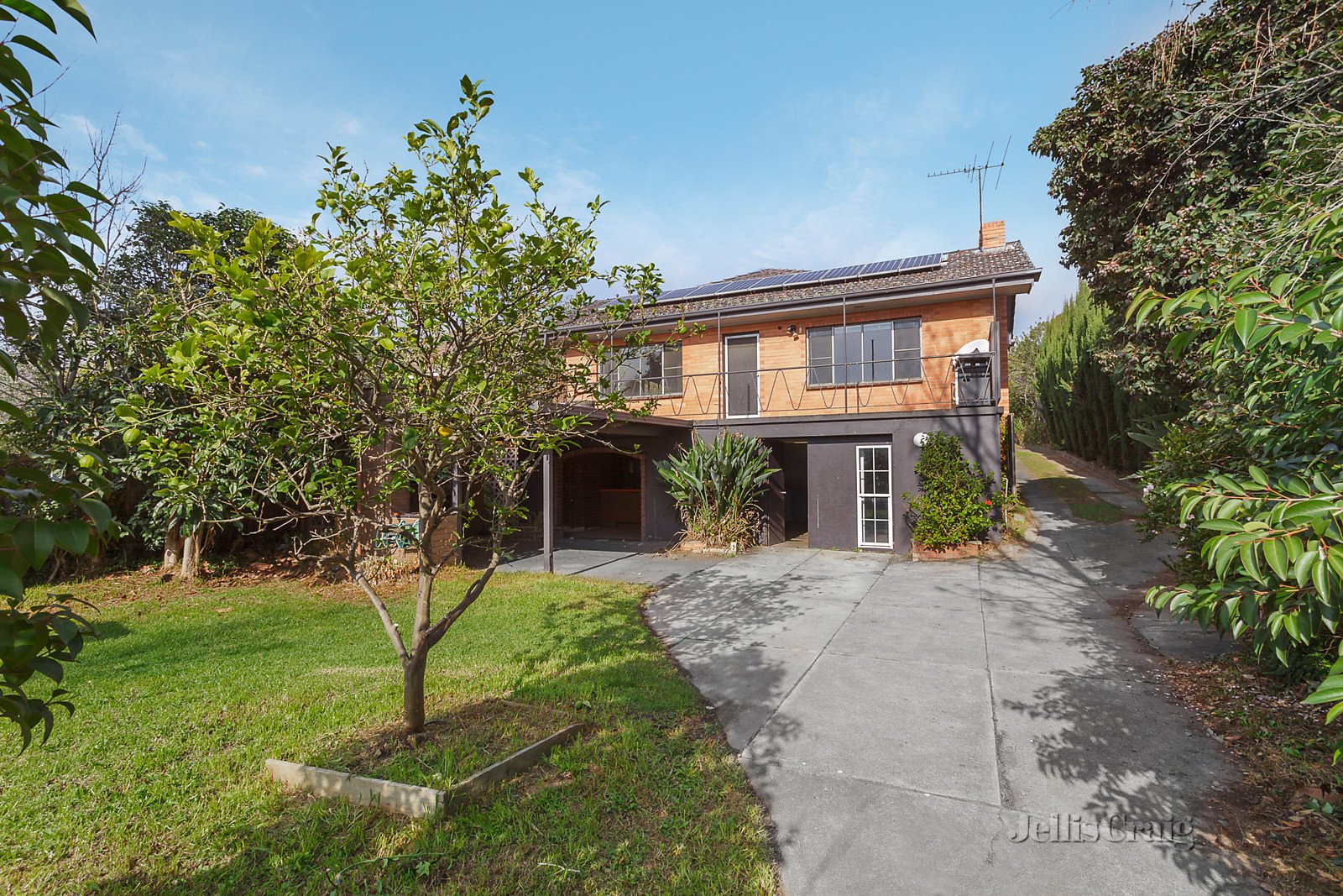 259 Belmore Road, Balwyn North image 7