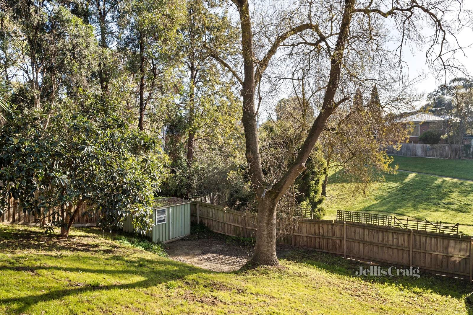 259 Elder Street, Greensborough image 11