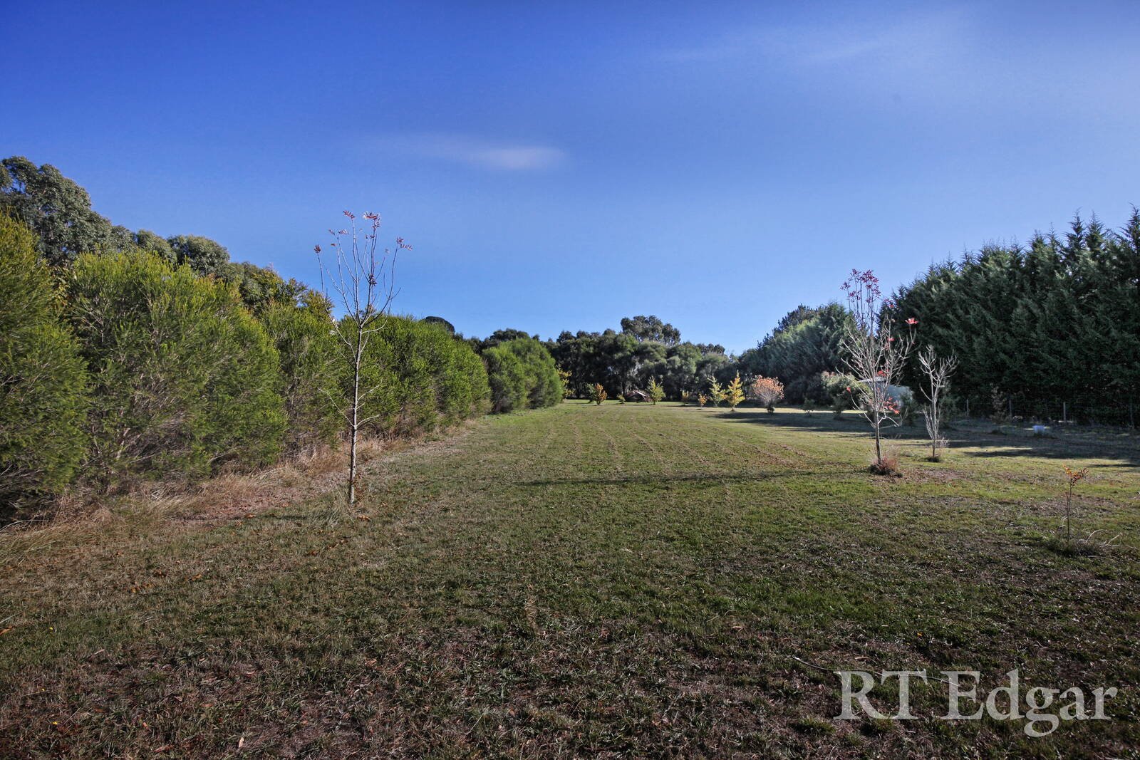 Property Gallery Thumbnail 3