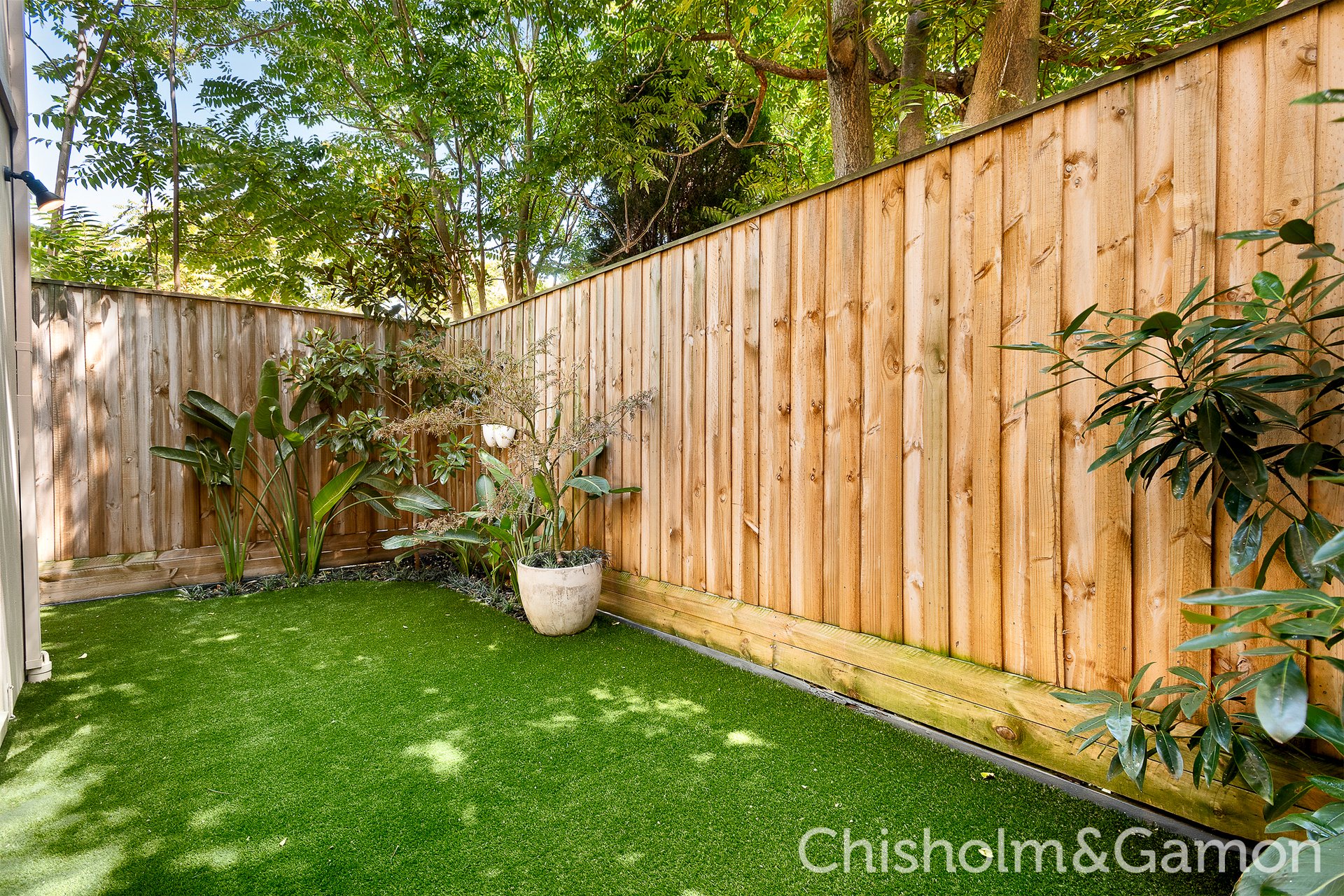 25C Thackeray Street, Elwood image 4