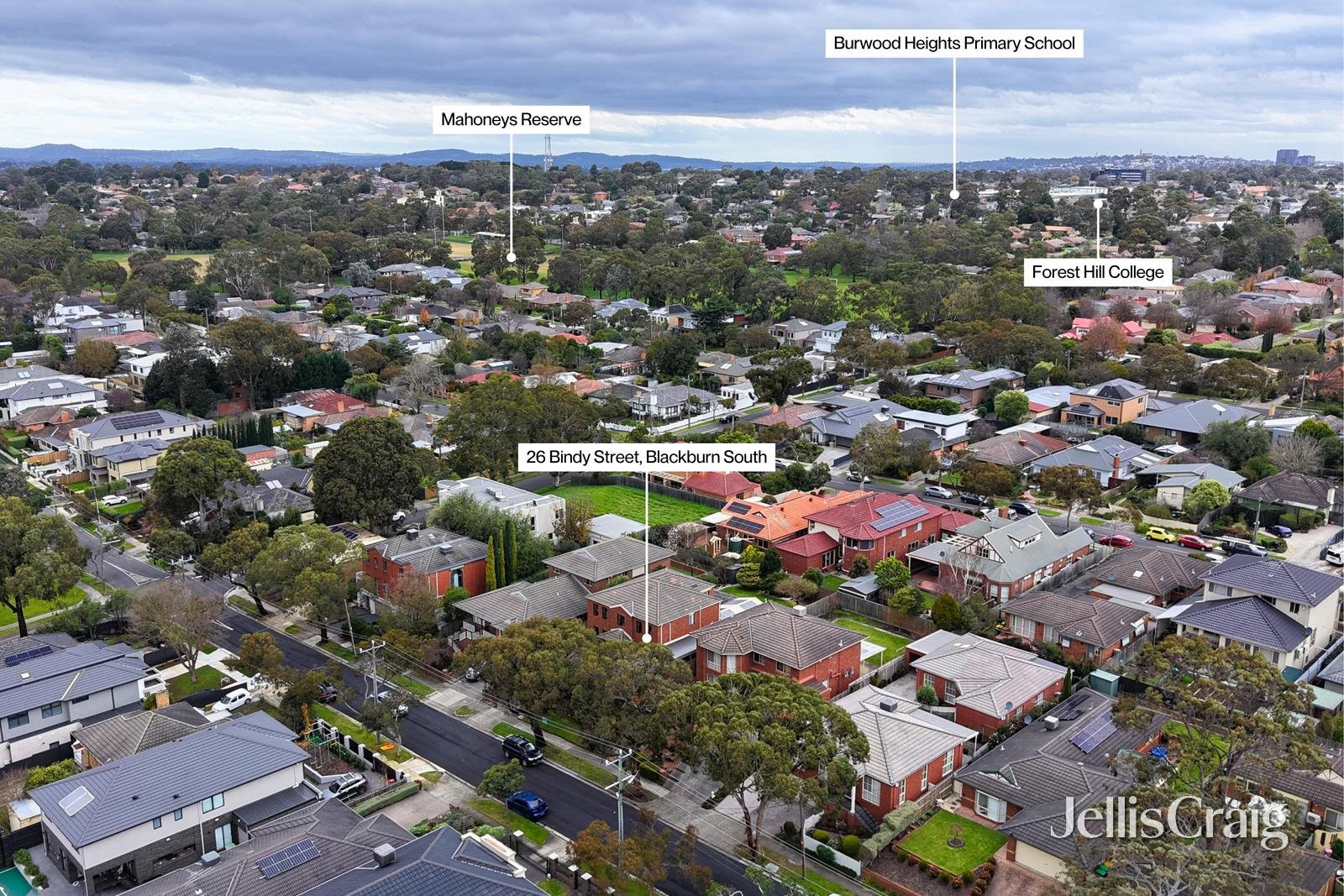 26 Bindy Street, Blackburn&nbsp;South image 18