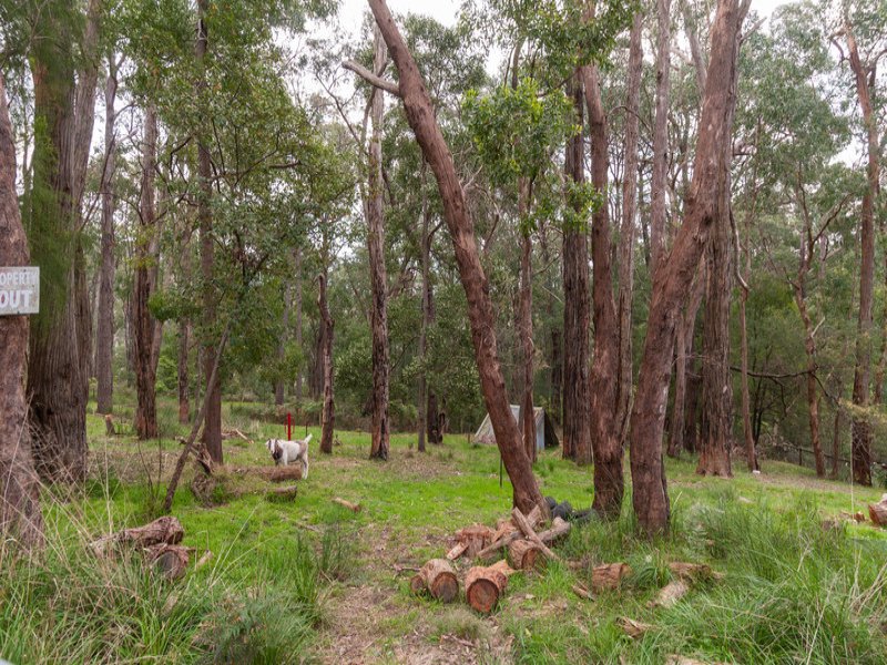 26 Borang Avenue, Mount Evelyn image 18