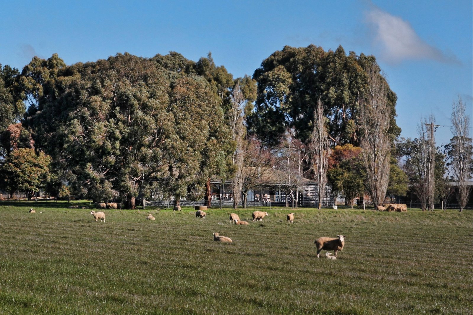 Property Gallery Thumbnail 4