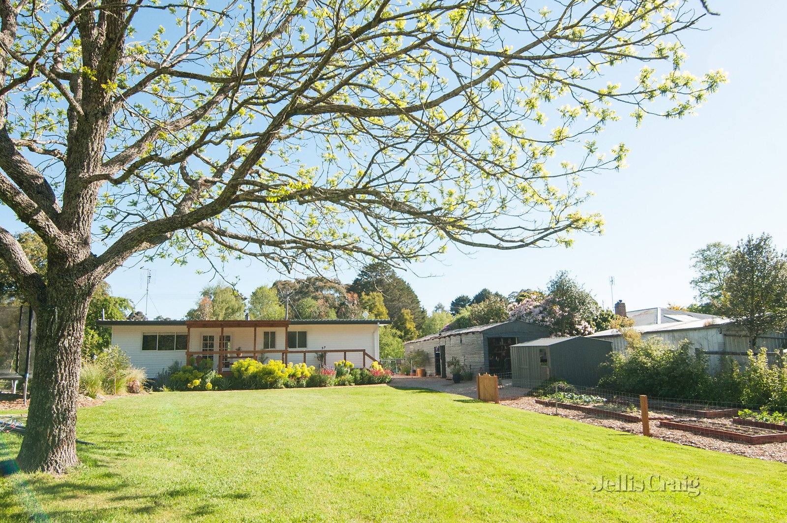 26 Camp Street, Trentham image 13