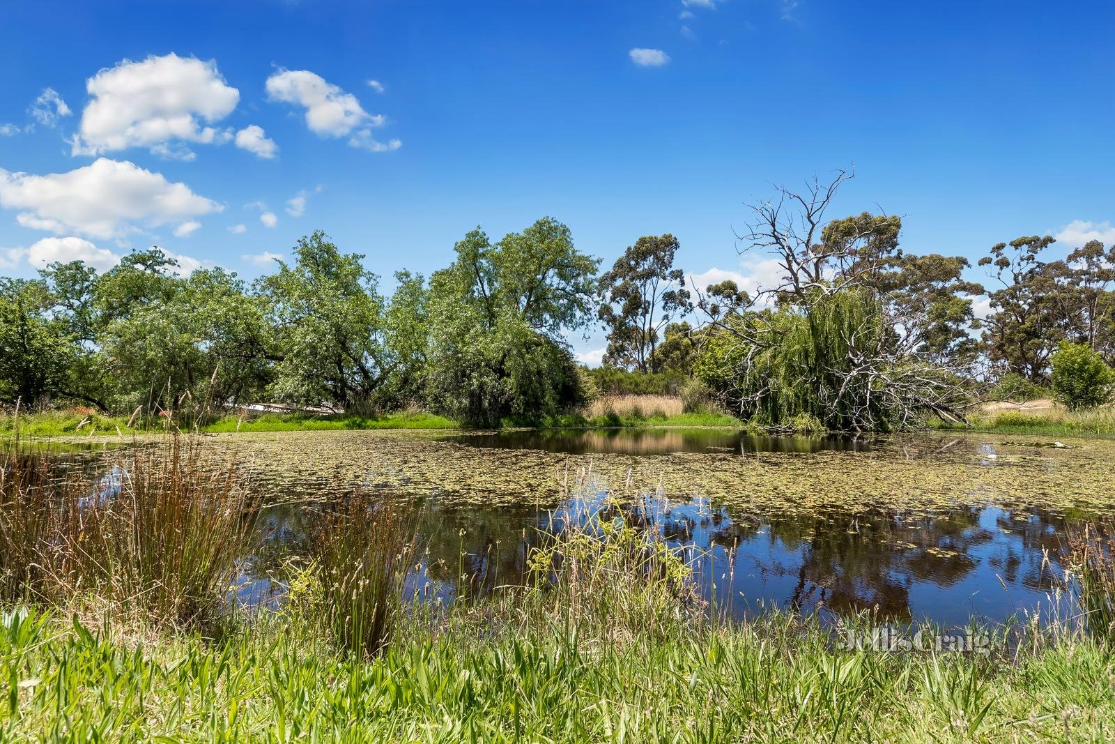 26 Castlemaine Road, Maldon image 14