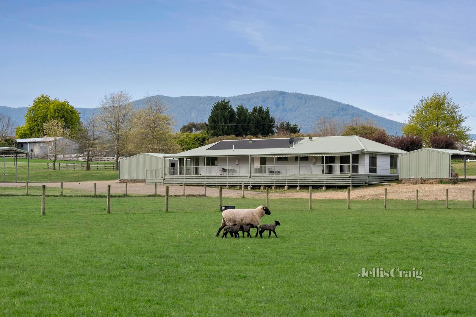 26 Donovans Road, Healesville image 20