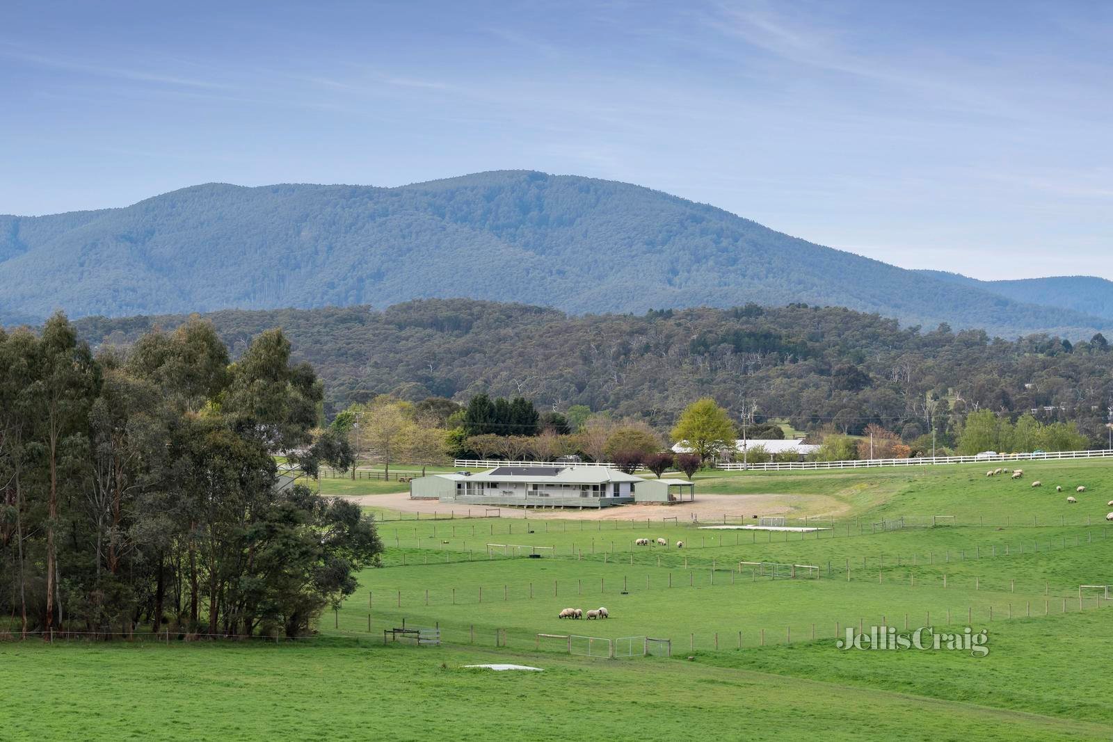 26 Donovans Road, Healesville image 21