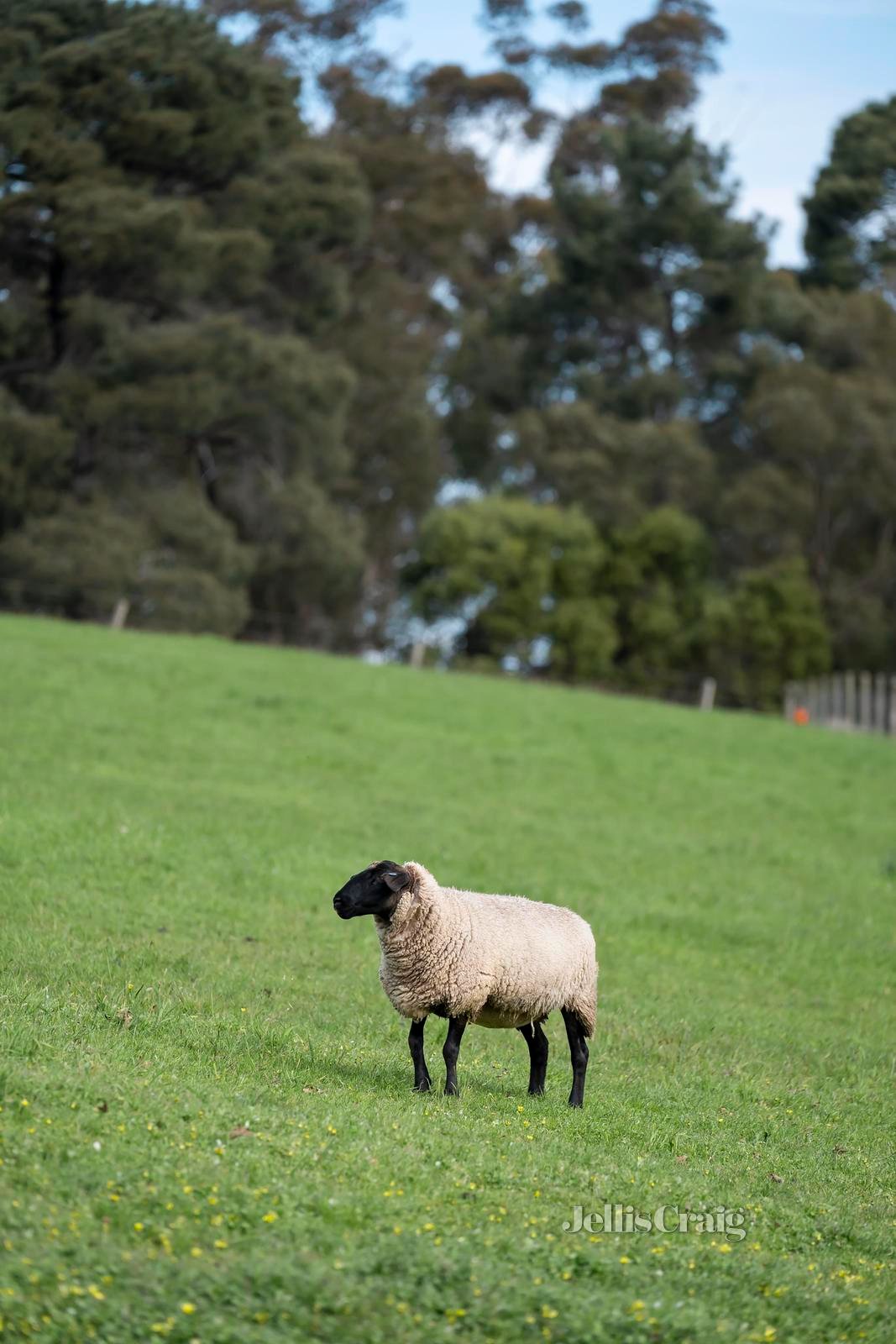 26 Donovans Road, Healesville image 24