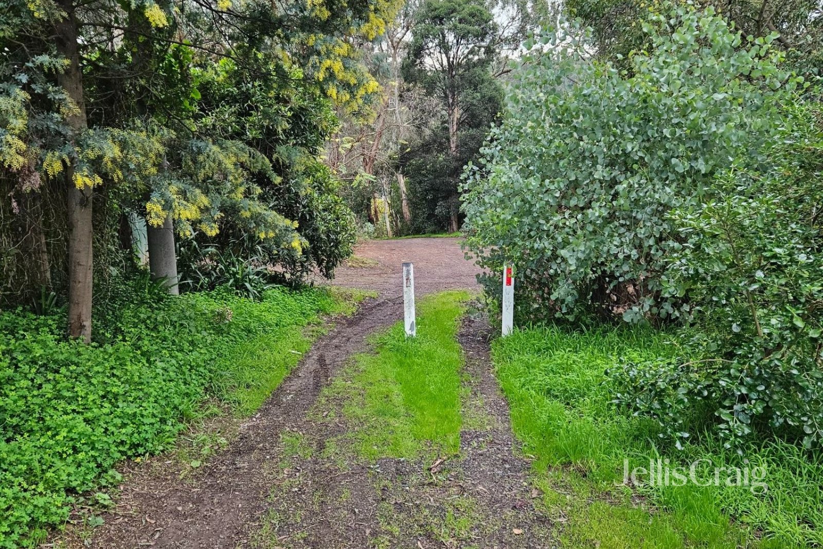 26 Elmo Road, Montmorency image 12