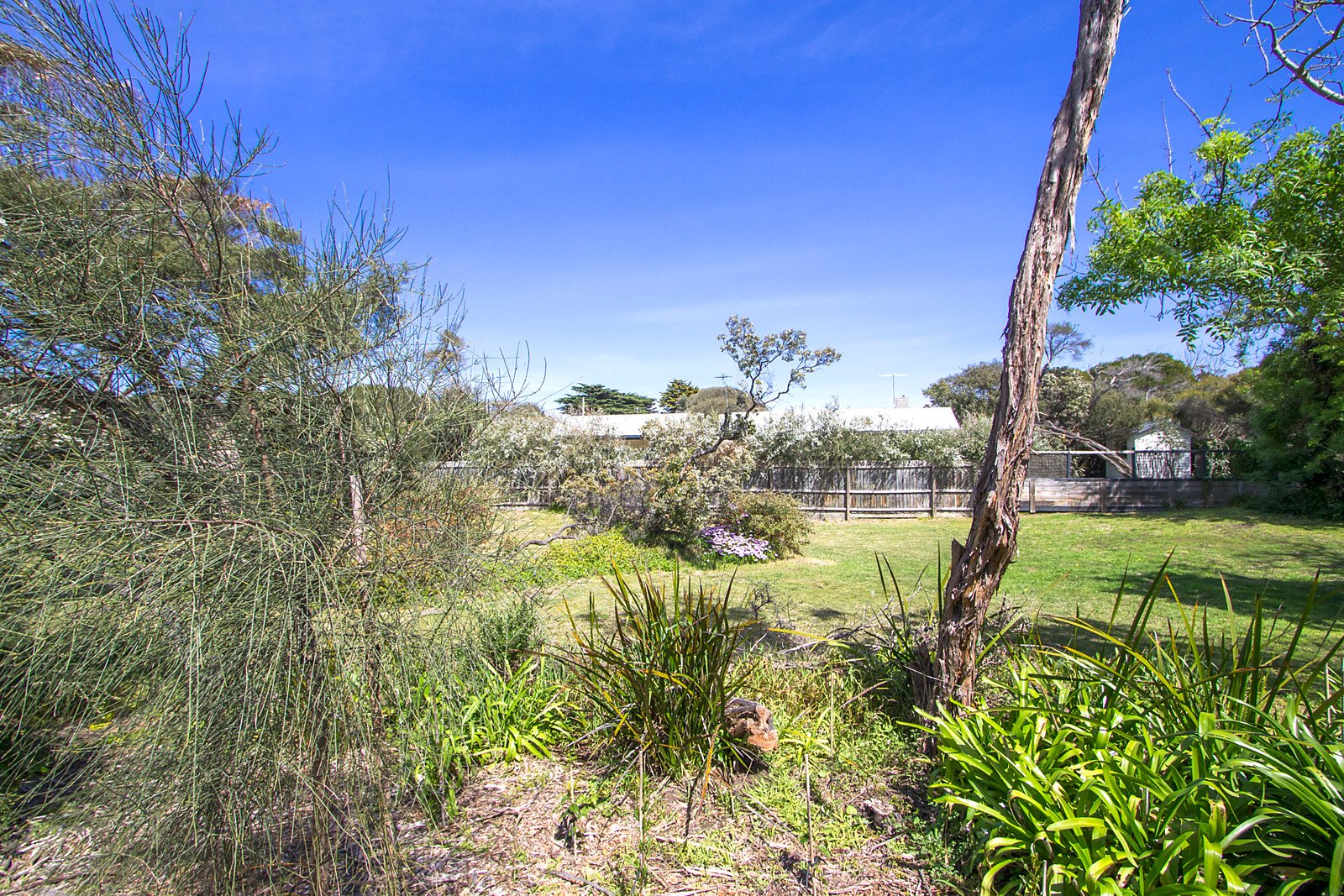 26 Foam Avenue, Blairgowrie, VIC 3942 Land for Sale