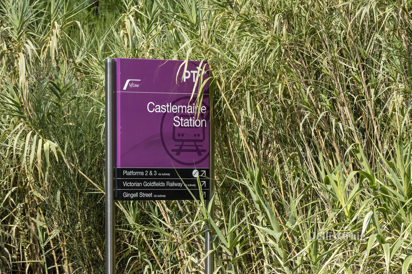 26 Gunangara Drive, Muckleford image 4