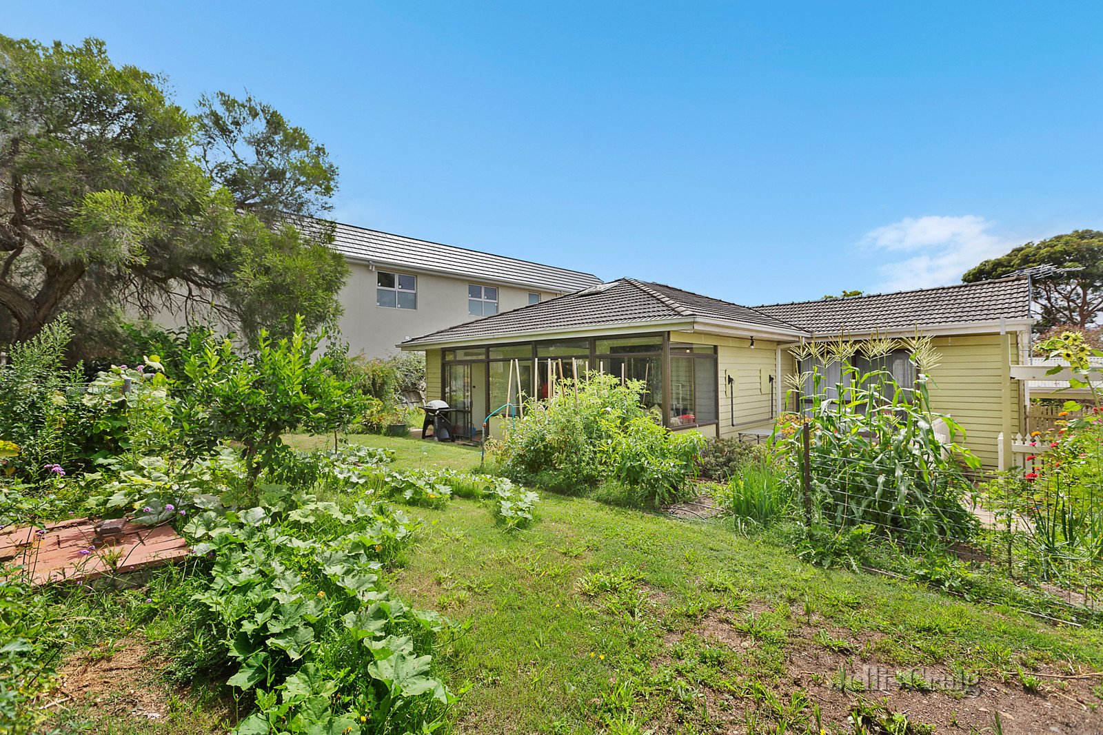 26 Kennedy Street, Glen Waverley image 7