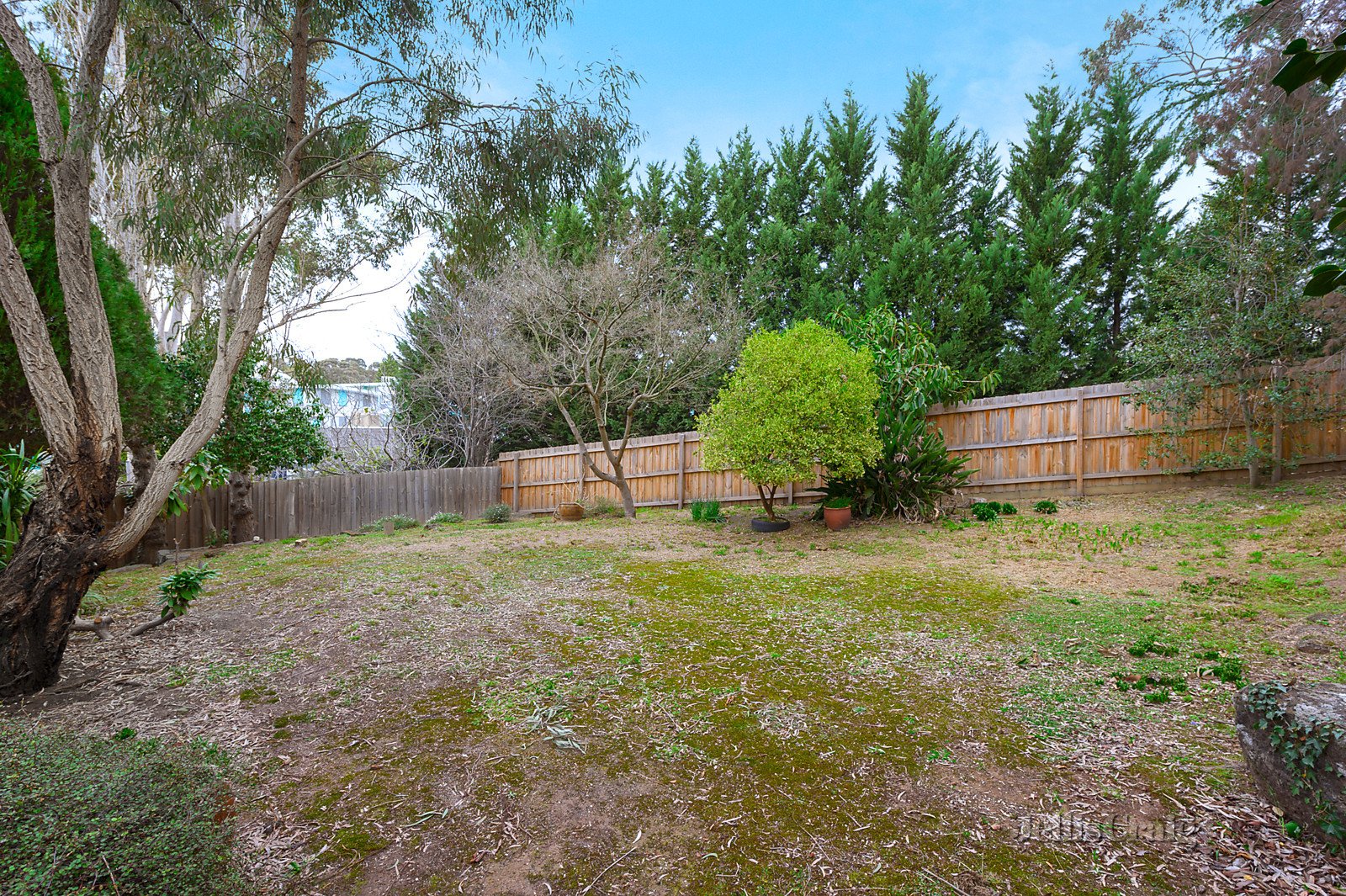 26 Magnolia Drive, Templestowe Lower image 9