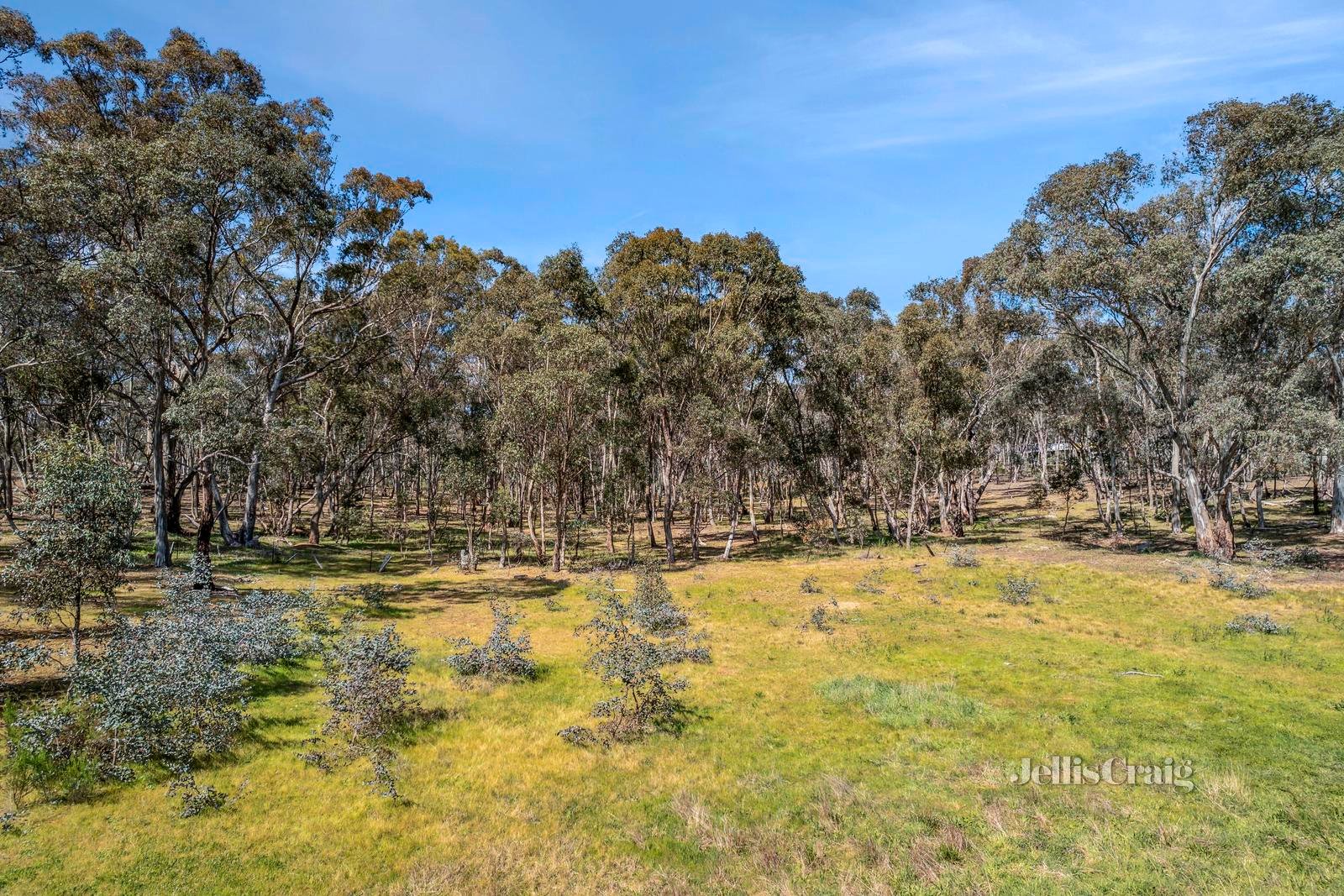 26 Rewells Lane, Welshmans&nbsp;Reef image 8