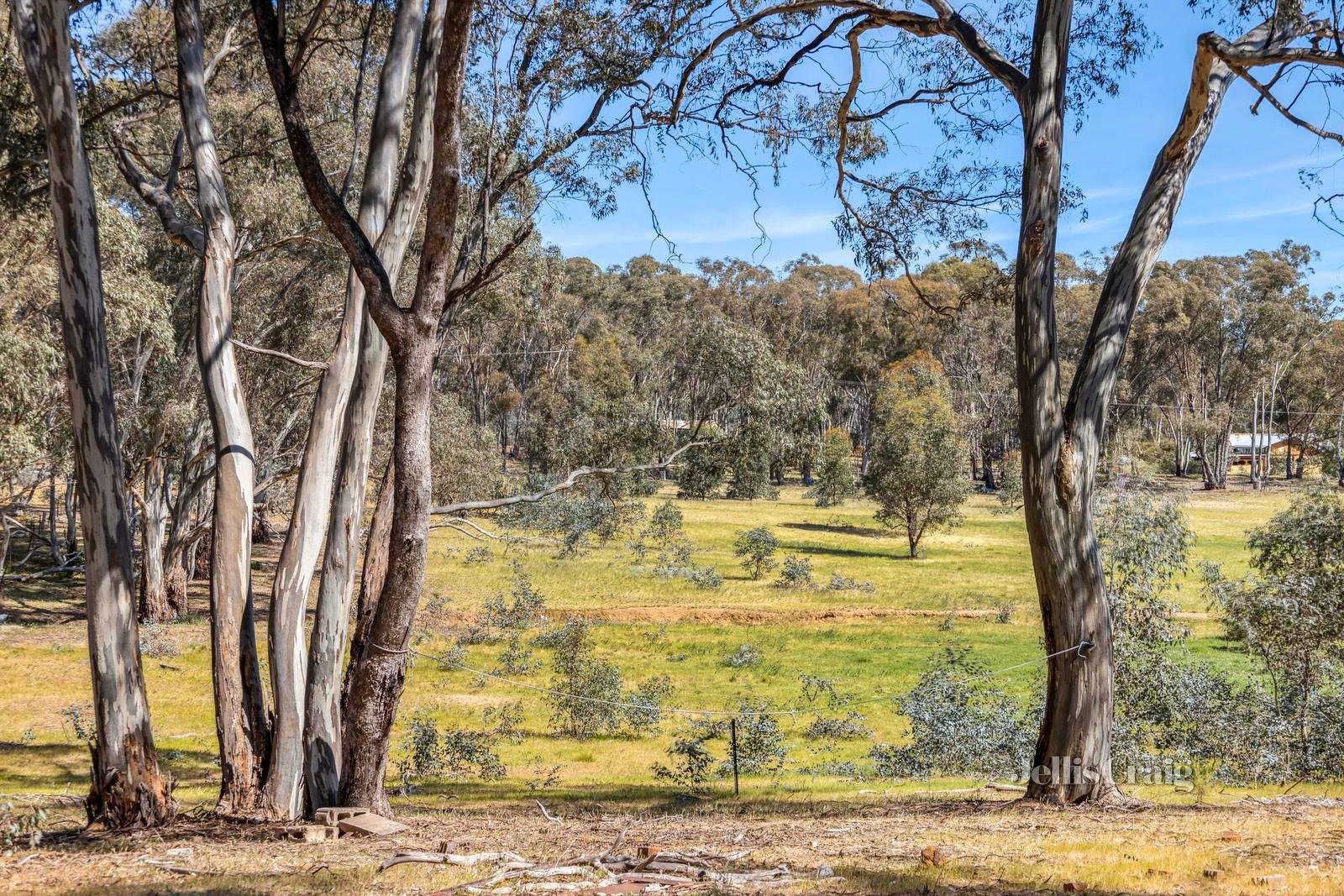 26 Rewells Lane, Welshmans&nbsp;Reef image 3